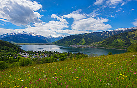 Sommerurlaub in Zell am See
