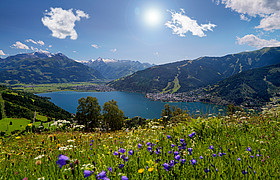 Sommerurlaub in Zell am See